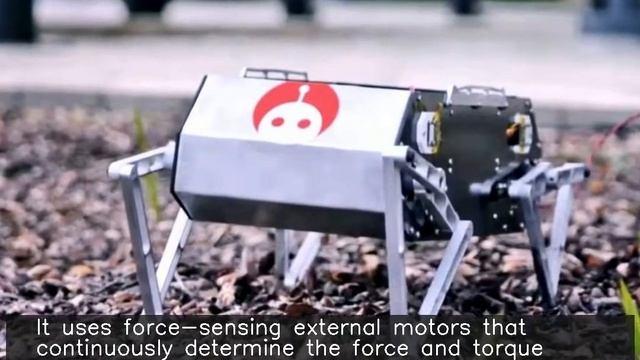 Stanford's $3,000 robot Doggo does backflips without springs смотреть онлайн
