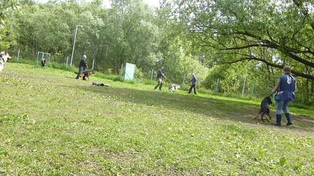 Алекс Кантэль Лакки-Стар. 5 месяцев. Июнь, 2017. СДП - "Москворечье - Сабурово". смотреть онлайн