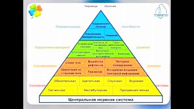 Пирамида вильямса шелленберга қазақша. ЗПР, ЗРР, РАС, Аутизм дамытатын жеңіл пирамида смотреть онлайн