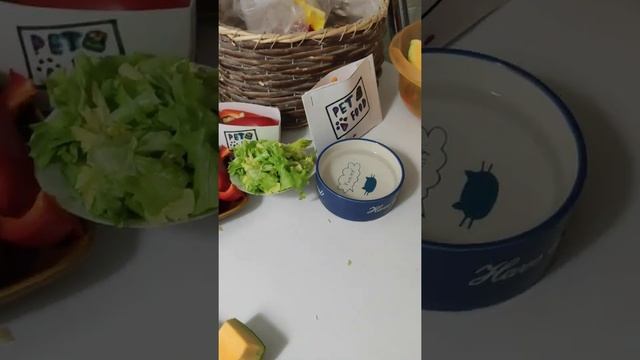 Fast food для морских свинок !!! смотреть онлайн
