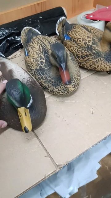 Охота на утку 2024 #hunter #охотанагуся #охотанаутку