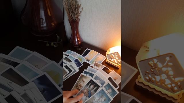 Перспектива наших отношений. Таро расклад онлайн. смотреть онлайн