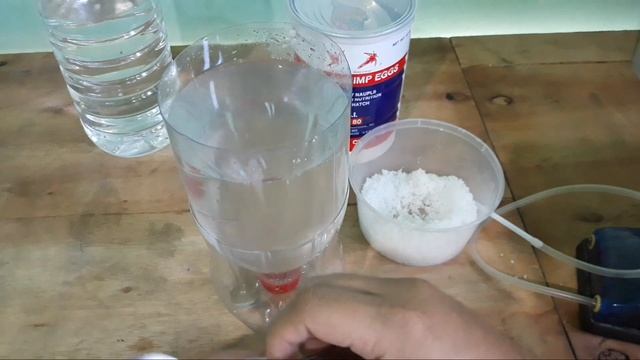 BBS Tutorial: Hatching BRINE SHRIMP EGGS!!! + DIY Hatchery!!!