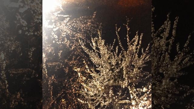 Rory In Early 20s - Denki No Iryoku [Full Album]