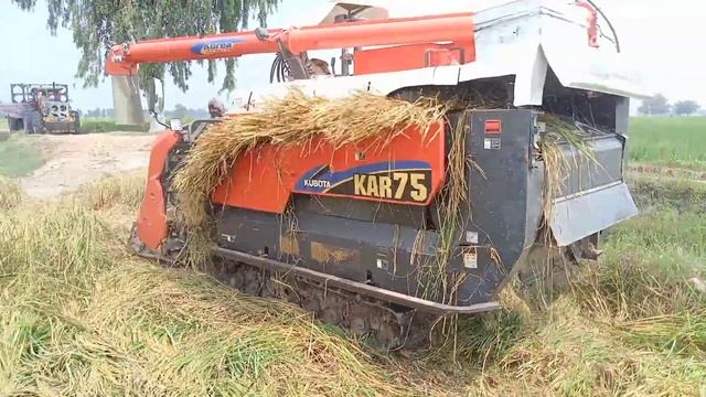 Kubota Machine katai harvester|made in Japan 2023 |#kubota#japan#machine смотреть онлайн