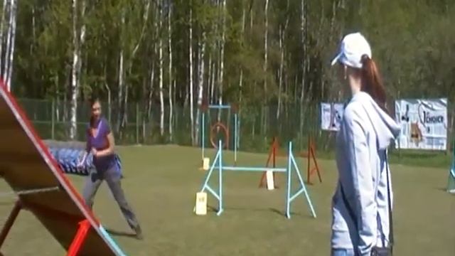 Ильина Юга аджилити ЧСЗФО смотреть онлайн