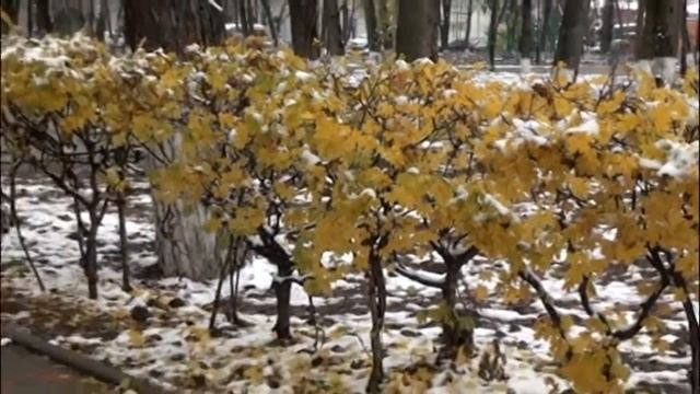 Апшеронск смотреть онлайн