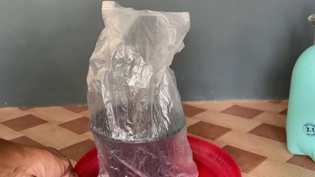 How To Grow Custard Apple Tree Cutting In A Banana (Sugar Apple) смотреть онлайн