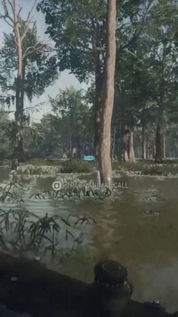 Claiming A Mythical Alligator Thehunter Call Of The Wild смотреть онлайн