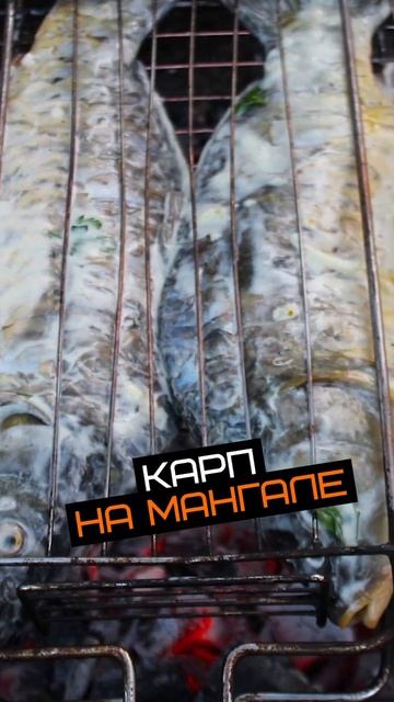 Рецепты на мангале. Карп с майонезом и чесноком смотреть онлайн