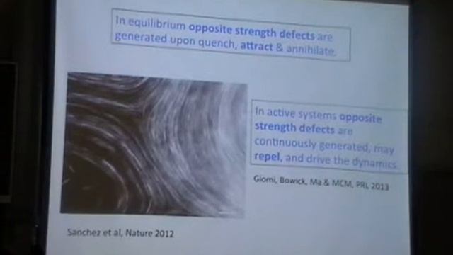 Active Matter IV - M. Cristina Marchetti смотреть онлайн