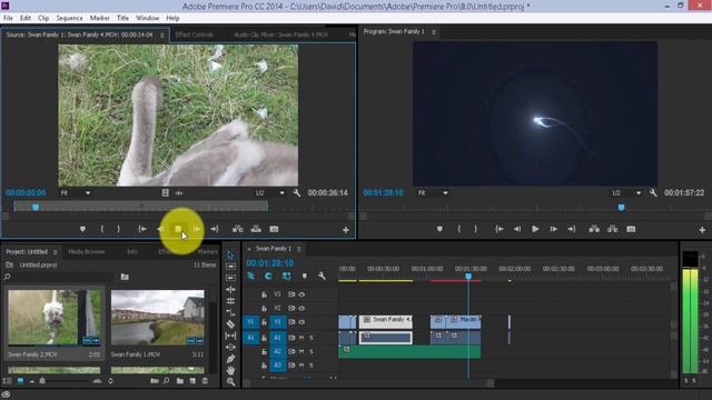 How to Edit from the Timeline and Video Buttons in Adobe Premiere Pro смотреть онлайн