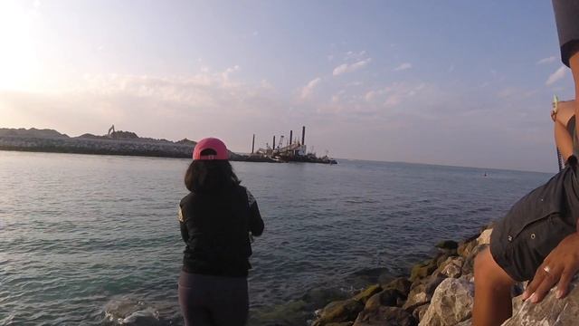 Mata besar I Matambaka I Ikan Barracuda I Baracuda смотреть онлайн