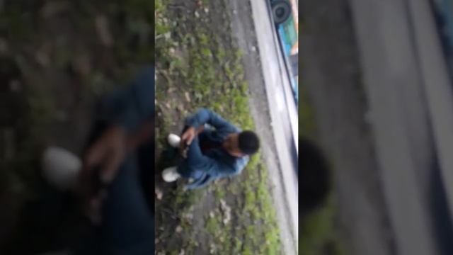 Москвадагы Автобус айдаган жигиттер смотреть онлайн