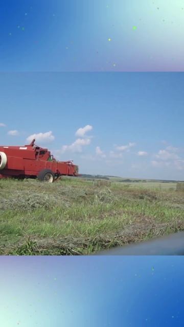 Заготовка сена.