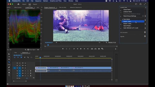 Create Custom LUTs in Adobe Premiere Pro смотреть онлайн