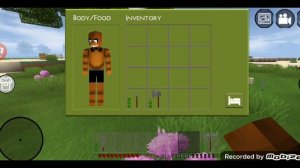 Я играю в Mini Block Craft 3D. Я построил новый дом