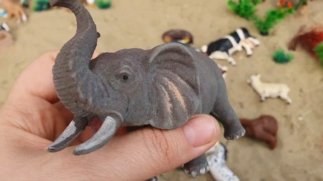 Сельскохозяйственные и Дикие животные! Звуки животных - Корова Панда Крокодил Зебра Слон Волк смотреть онлайн