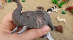 Сельскохозяйственные и Дикие животные!  Звуки животных - Корова Панда Крокодил Зебра Слон Волк