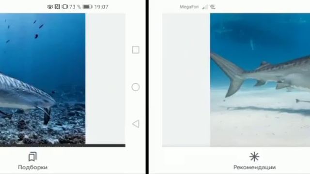 hungry shark evolution.серьезная версия.@NikstatMobile смотреть онлайн