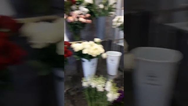 💐 8 МАРТА в цветочном магазине #8марта #цветы смотреть онлайн