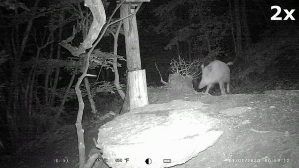 20230515 TEST SUNTEK  MINI600 - DESTRA