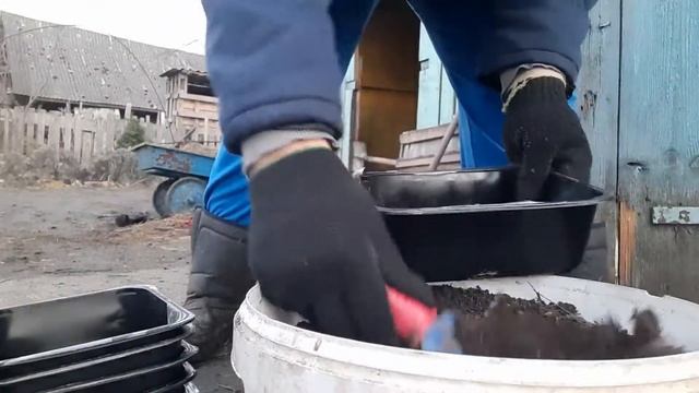 ПОСМОТРИТЕ,насколько просто //Я ВСЕГДА так делаю //грунт для рассады//обзор сада в марте 2021 смотреть онлайн