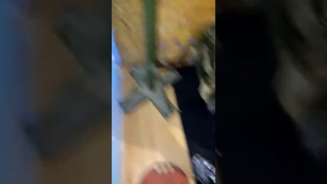 ВЗЯТИЕ В СТОЙКУ, ДВУХ ГИРЬ С ЛЁГКИМ ПРИСЕДОМ НА ДЕВЯТЬ РАЗ. 50+31=81кг. Лич.вес-78кг смотреть онлайн