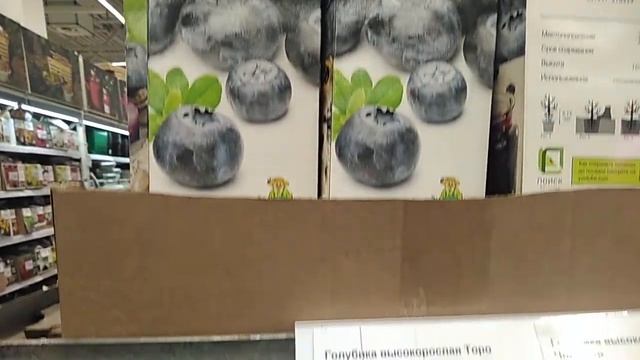 Леруа Мерлен в Нижнем Новгороде - клематисы, розы, пионы, вишня,груши. 12.03.2024 год. смотреть онлайн