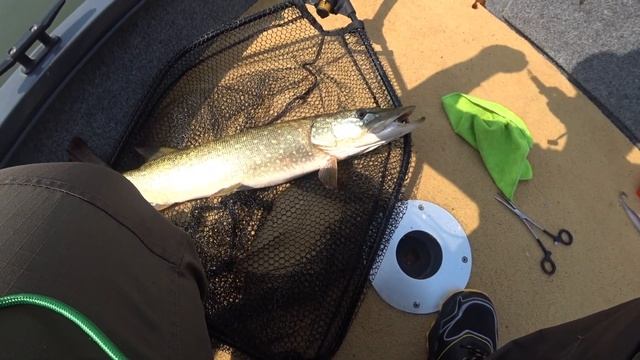 Рыбалка на Водохранилище - Щука