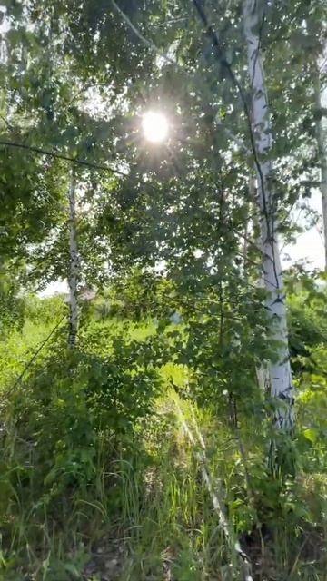 Зимняя Горка 100м2🌿 смотреть онлайн