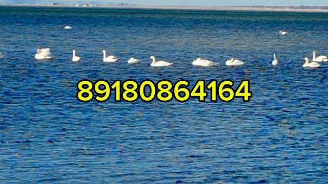 Продается участок на берегу моря(Темрюкский район) смотреть онлайн