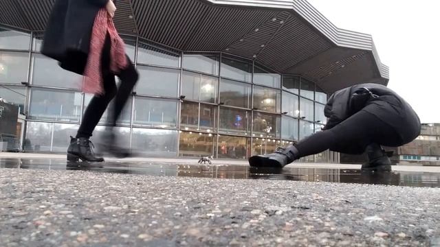ЗА КАДРОМ! СМЕХ И ГРЯЗЬ - ЖИЗНЬ ШЛЯЙХЕРА смотреть онлайн