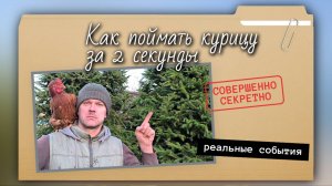 Как поймать любую курицу или петуха за 2 секунды