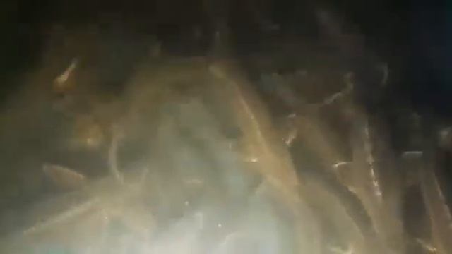 Залипательное видио . От 3 грам 1 год смотреть онлайн