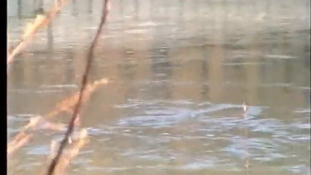 Свидетельство о покаянии смотреть онлайн