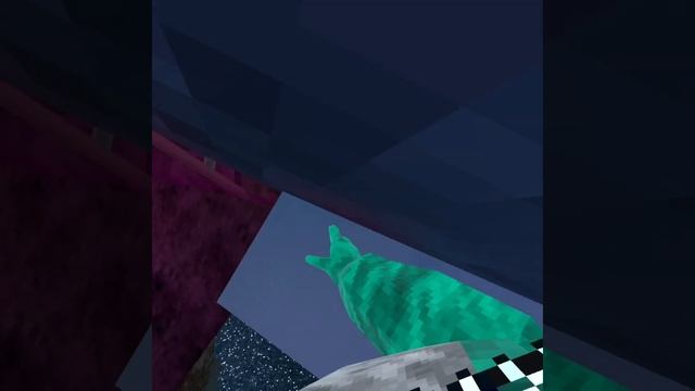 Going To Tutorial… With Corgs | Gorilla Tag смотреть онлайн