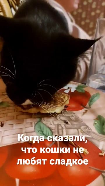 Оладьи с яблоками 🍏 спасибо, очень вкусно