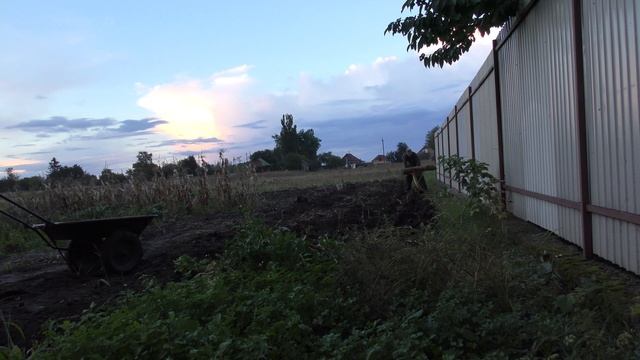 Один вечер из сельской жизни: копаю картошку в конце сентября 2022 года