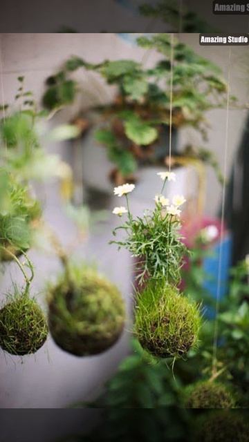 Kokedama String Garten смотреть онлайн