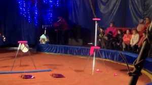 цирк шапито золотая подкова 2019 1 акт новая программа