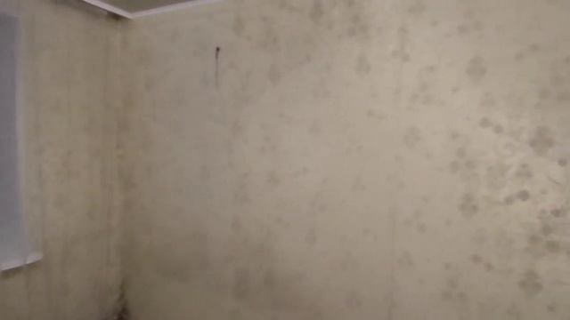 document 5260722831745894897 смотреть онлайн