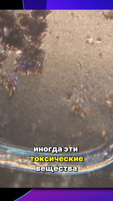Вдруг появилась астма в 30 лет #астма #здоровье #глисты #паразиты #черви #врач смотреть онлайн
