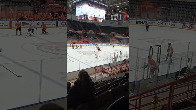 амурские тигры vs ска-варяги