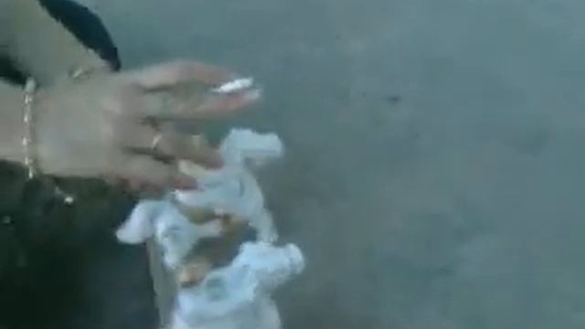 Лошади на асфальте смотреть онлайн