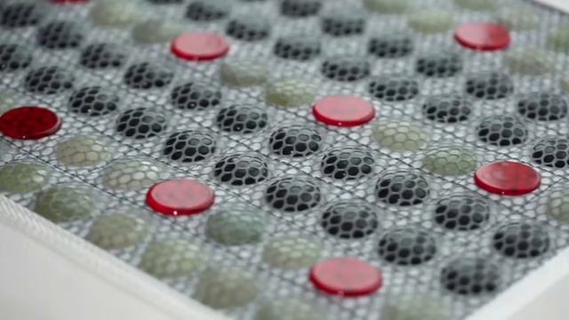 Pop relax jade tourmaline photon light pemf heating pad смотреть онлайн