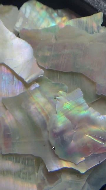 А на чьей стороне ты? #маникюристории #маникюрпошагово #маникюр2024 #москва #маникюр #ногти2024 смотреть онлайн