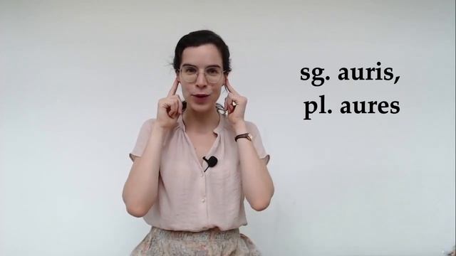 Latin vocabulary for beginners || Corpus humanum смотреть онлайн