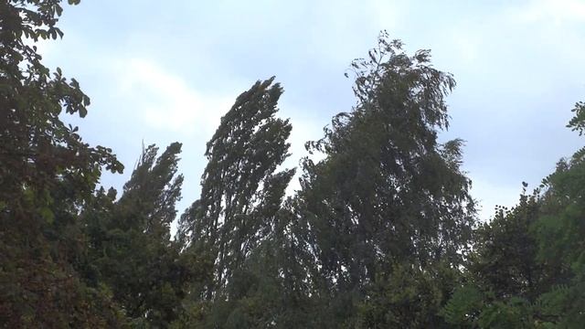 Шум ветра в Харькове_видео ГородХ смотреть онлайн