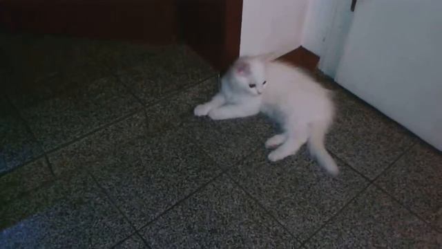 Мама Лоли и малките смотреть онлайн
